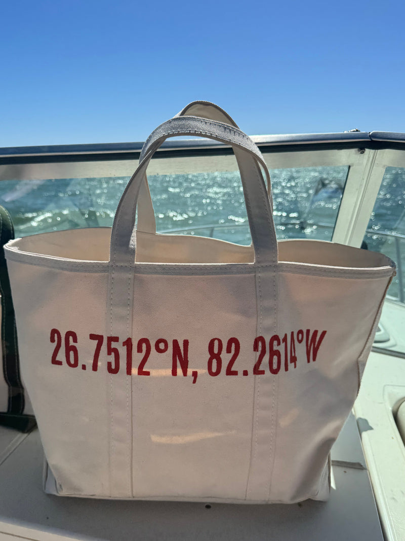 BG Coordinates Tote Bag